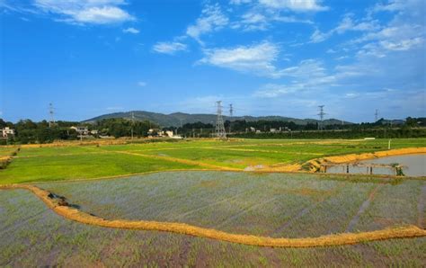 瘠土|瘠土